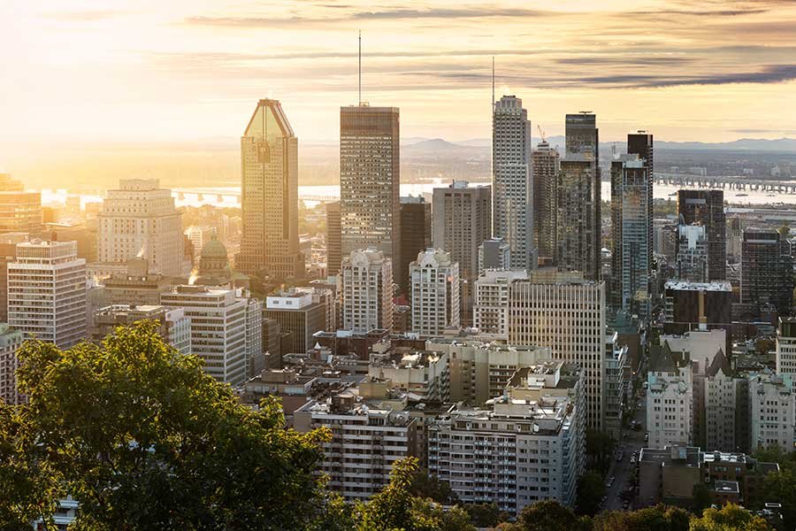 Accéder à notre Formation Management Montréal